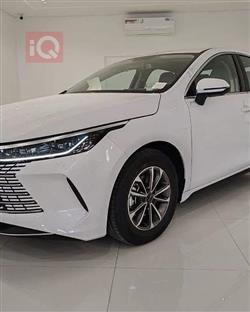 BYD Destroyer 05